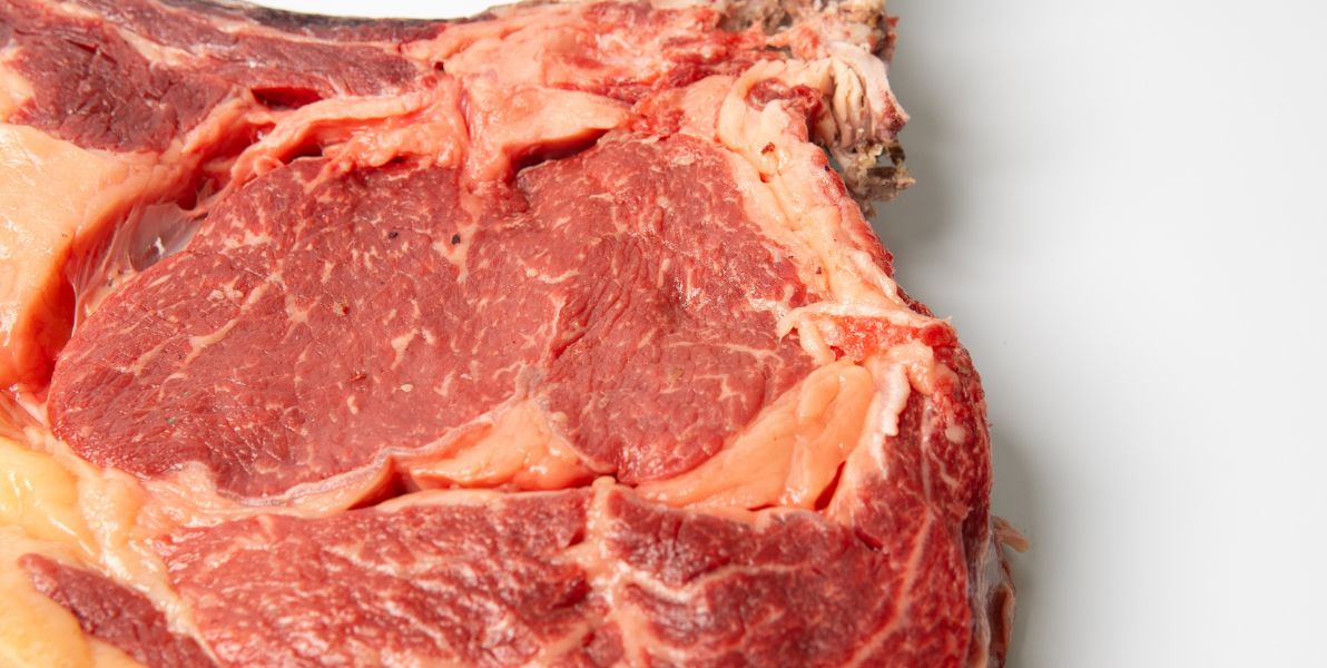 carne y ganadería